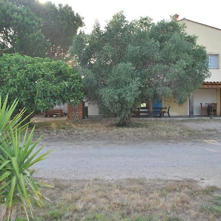 Mas De La Vignassa Villa Le Soler ภายนอก รูปภาพ