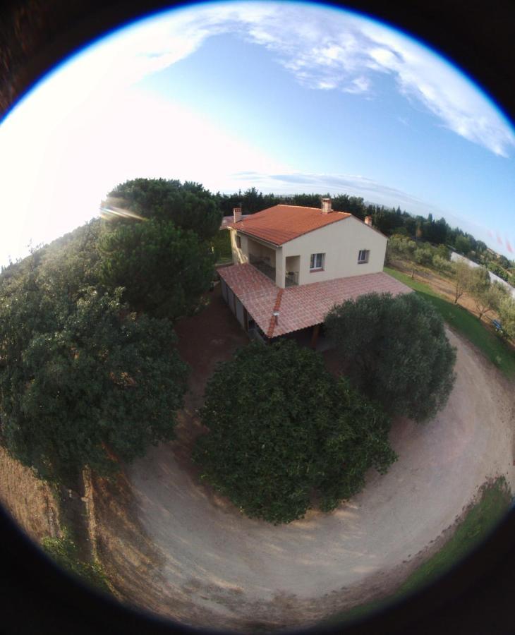 Mas De La Vignassa Villa Le Soler ภายนอก รูปภาพ