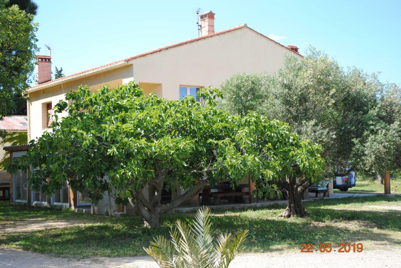 Mas De La Vignassa Villa Le Soler ภายนอก รูปภาพ
